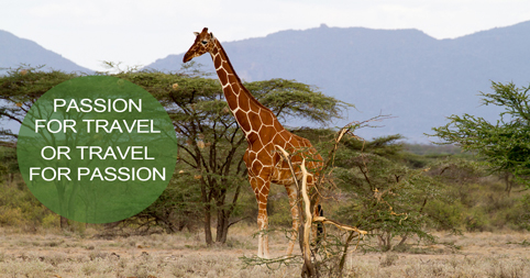 Passion for Travel or Travel for Passion