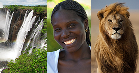 7 Things Every Traveler Should Know Before Going on an African Safari