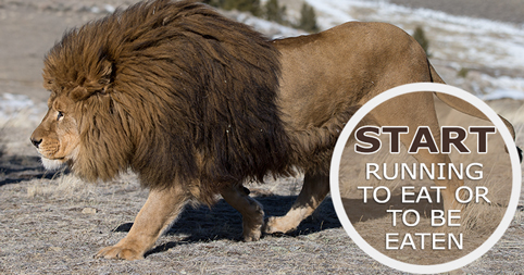 Start running to eat or to be eaten