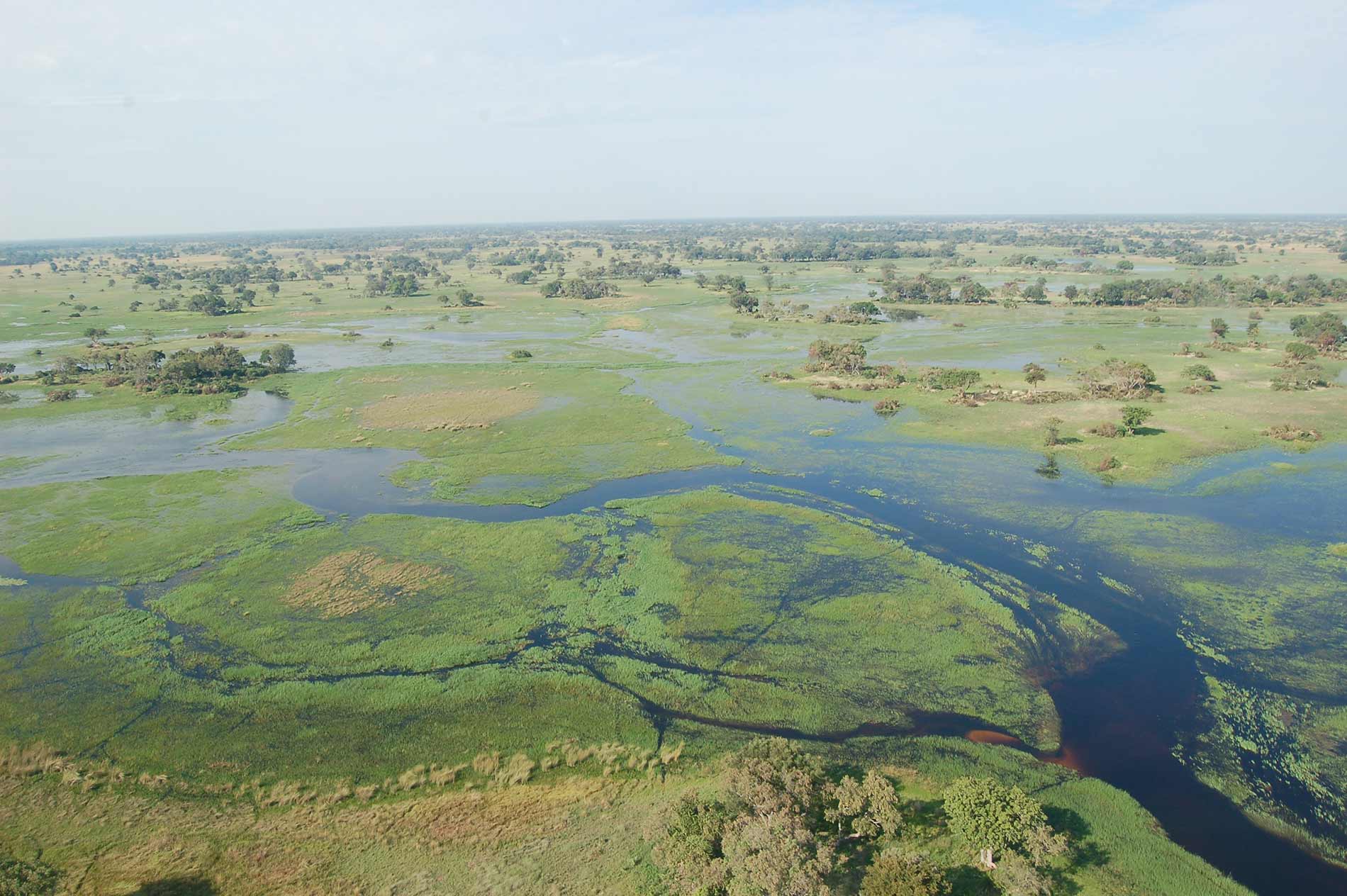 Okavango Delta
