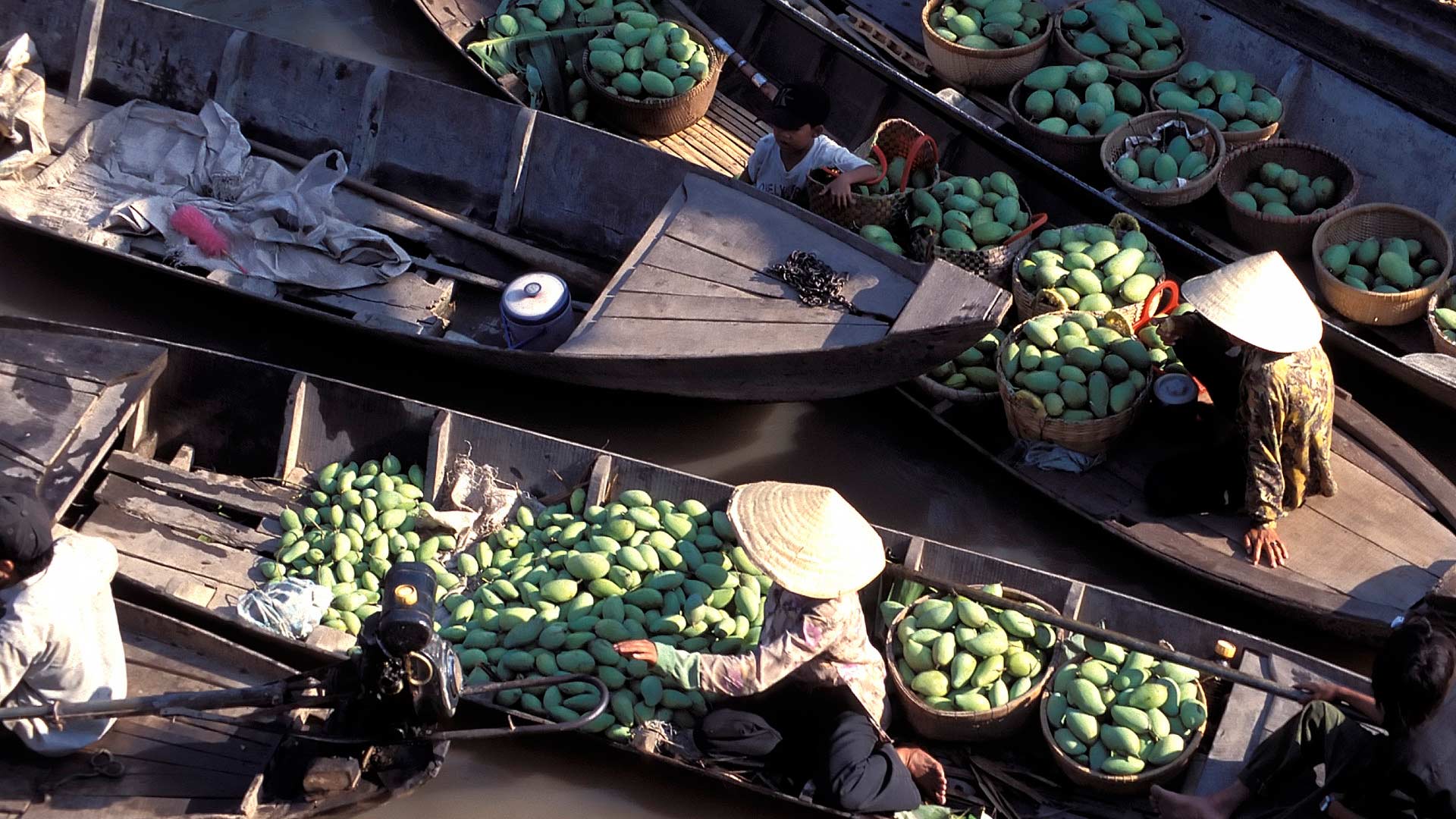 Boats laden with green mangos and other produce at a floating market on the Mekong River by My Tho, Mekong Delta, Long An, Vietnam