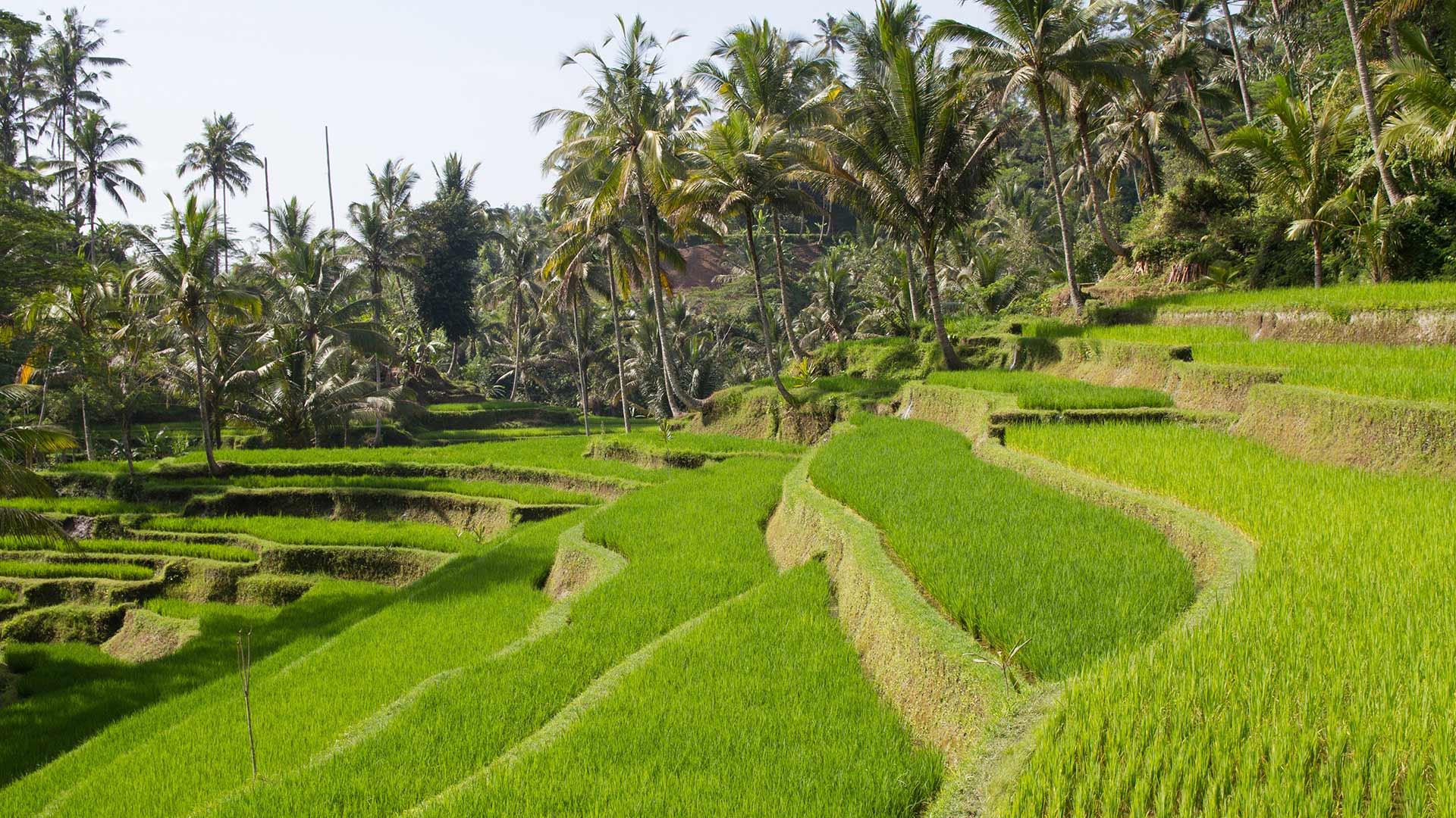 Gunung Kawi, Tampaksiring, Bali, Indonesia