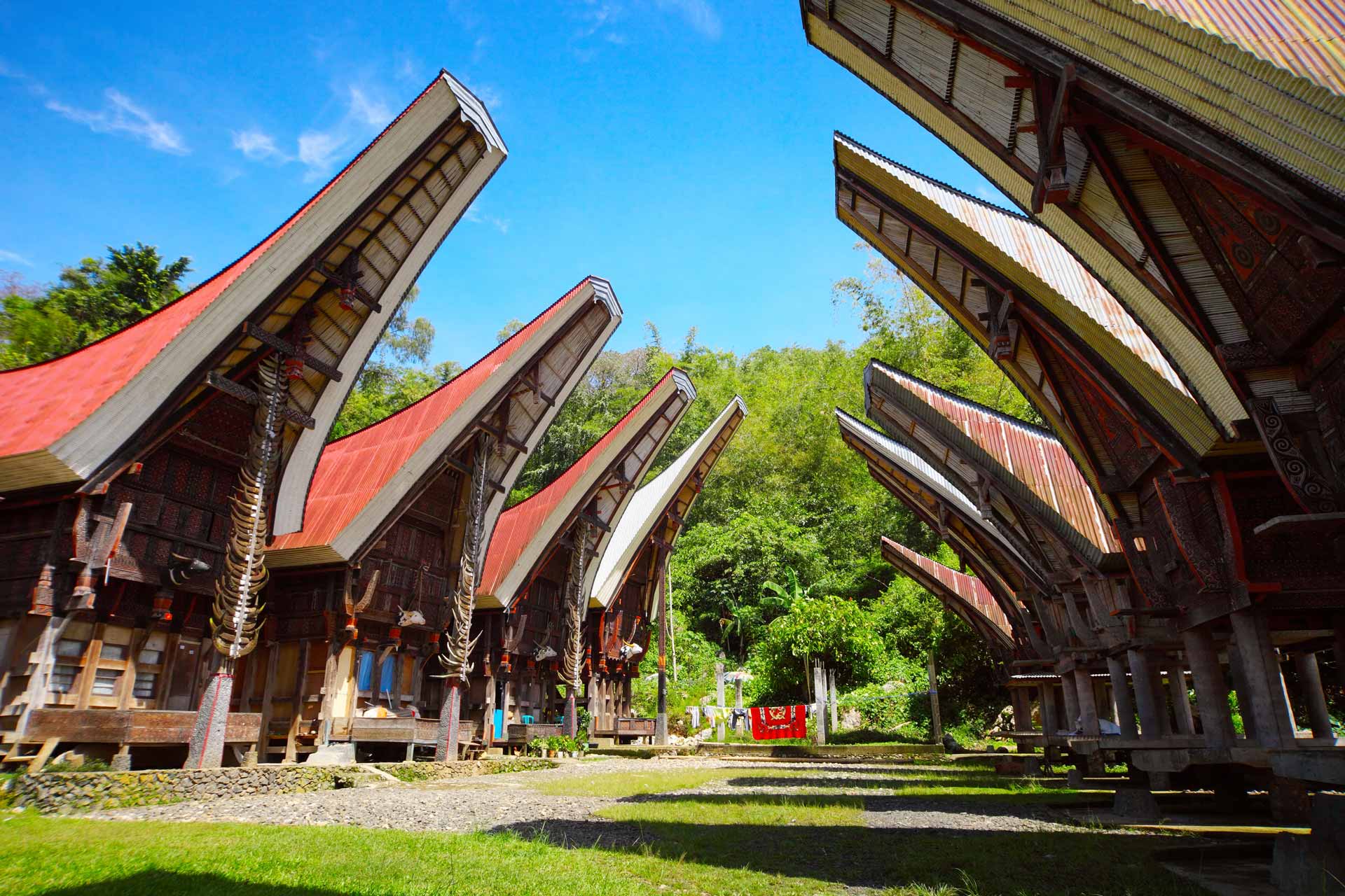 Traditional homes of the Toraja's people on Sulawesi island. Indonesia