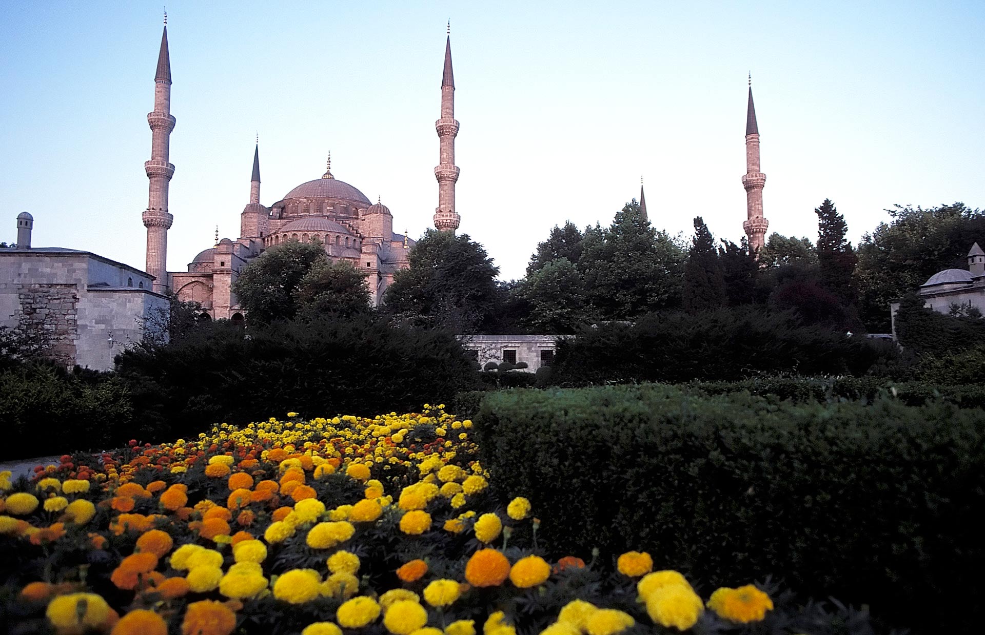 Sultan Ahmed Mosque (Blue Mosque), Istanbul, Türkiye (Turkey)