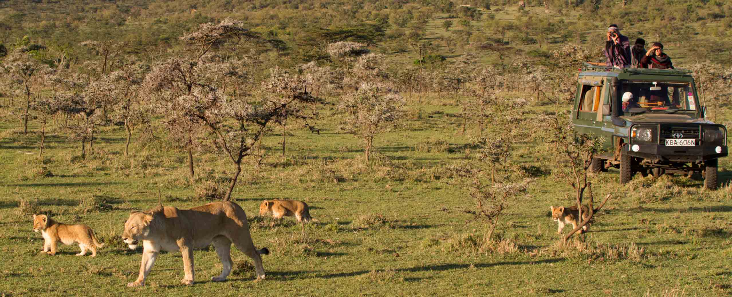 African Safari Packages Africa Culture Vacation Trips Bestway Tours Safaris African Safari Packages Africa Culture Vacation Trips Bestway Tours Safaris